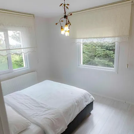 Maşukiye Orman Evi *