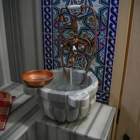 Orman Evi Maşukiye *